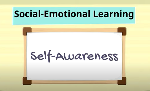 Self-Awareness Video 